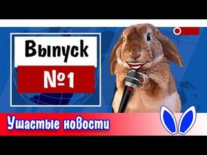 Ушастые Новости: Выпуск 1 (Добрый кролик)