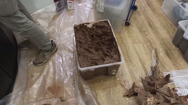 Аквариум во флорариум за один день