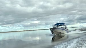 Моторная лодка berkut L-DC vs Tohatsu (экспедиция)