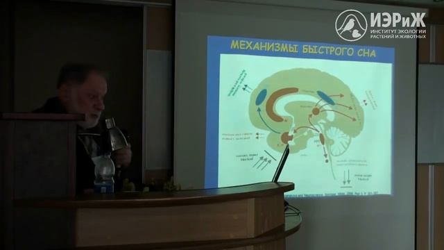 В.М. Ковальзон Наука о сне и сновидениях в 21 веке ИЭРиЖ 2016 смотреть онлайн