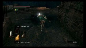 прохождение Dark Souls #8, кольцо Хавела и Стальной голем!!!