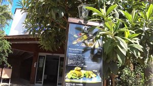 Отель"Колибри" в Анталии.Просто,чисто,уютно.