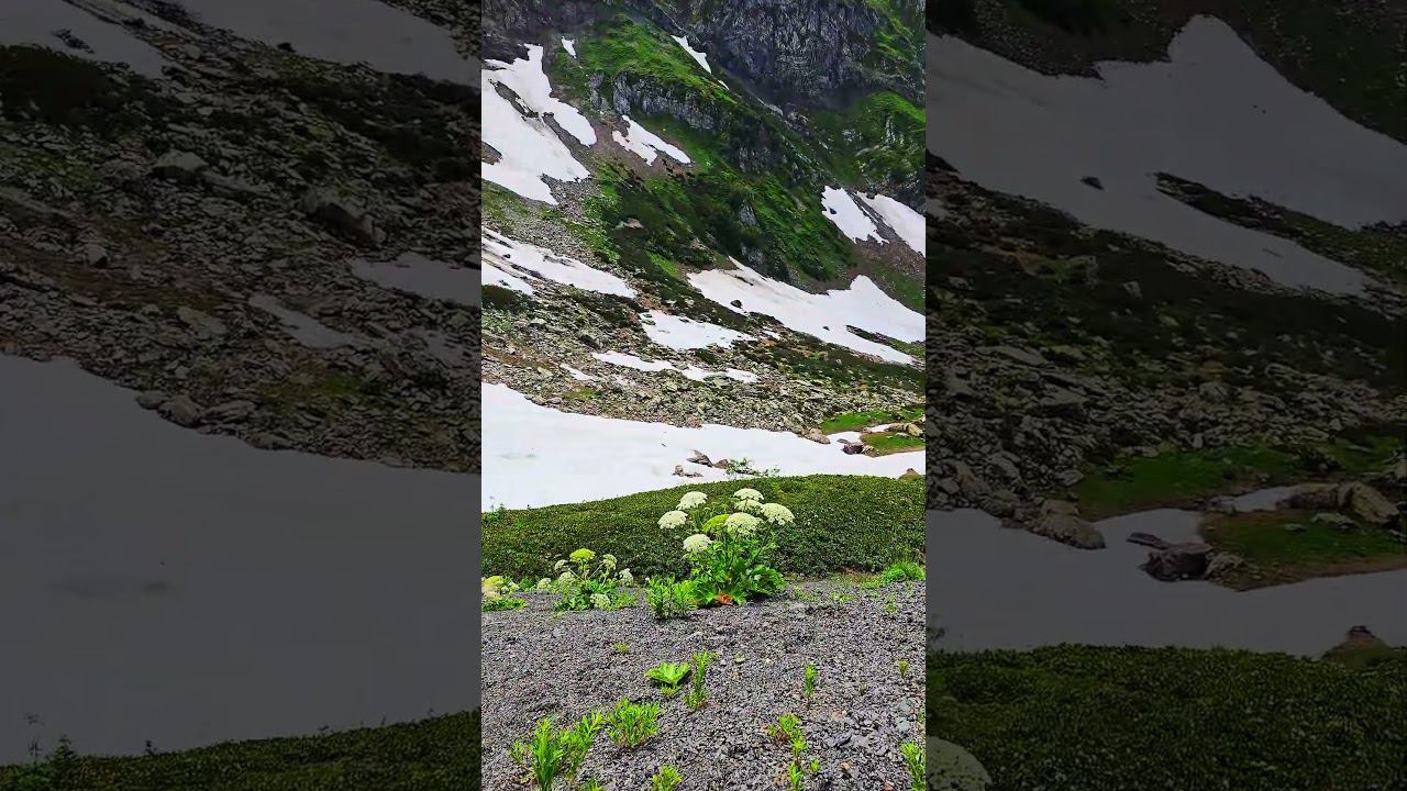 В горах Роза Хутор, Красная Поляна, Краснодарский край. In the mountains of Rosa Khutor #розахутор