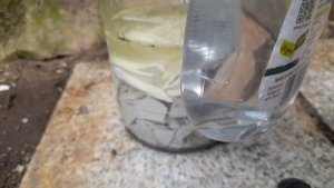 Безопасное хлорирование золота, уксус, хлором не дышим.