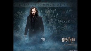 Сириус Блэк история жизни
