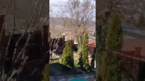 Ребёнок гоняет гусей по деревне