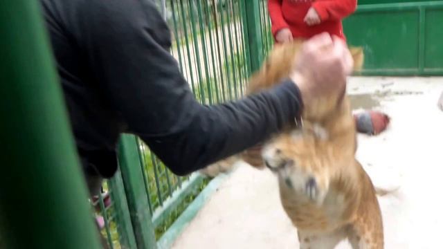 Боня смотреть онлайн