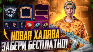 НОВАЯ ХАЛЯВА В ПУБГ МОБАЙЛ! КАК ЗАБРАТЬ ПОСТОЯННЫЕ СКИНЫ В PUBG MOBILE! ХАЛЯВНЫЕ UC и AG PUBG MOBILE