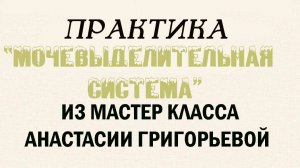 ПРАКТИКА«МОЧЕВЫДЕЛИТЕЛЬНАЯ СИСТЕМА»МАСТЕР КЛАСС АНАСТАСИИ ГРИГОРЬЕВОЙ«ЛЕГКАЯ АНАТОМИЯ ДЛЯ ЭЗОТЕРИКА»