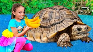 Маша и Майя на забавном путешествии в зоопарк и фруктовый сад