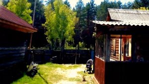 Дом. Олешня. Голубые озёра. Репкинский район.