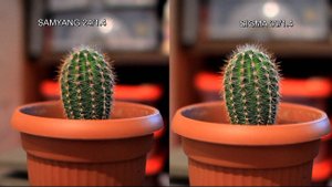 SAMYANG 24mm/1.4 vs SIGMA 30mm/1.4. ISO640