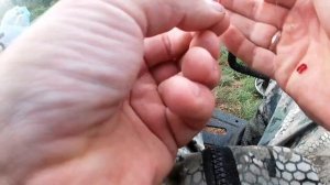 Ловля карася на фидер на озере. Фидерная рыбалка разнорыбицы. Рыбалка в Беларуси.