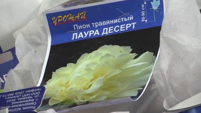 2023 02 02 ВО САДУ И В ОГОРОДЕ смотреть онлайн