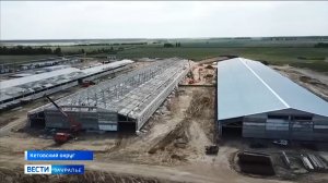 В Кетовском округе завершили строительство корпуса нового свинокомлекса