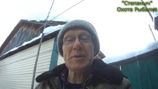 Щенки  Лайки От моих собак (Отдаю) 08 02 23