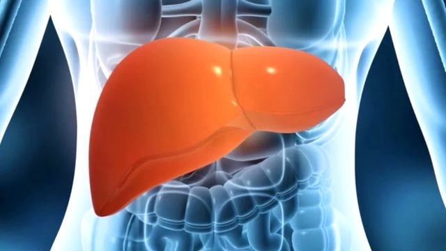 Эти каши оздоравливают и очищают печень смотреть онлайн