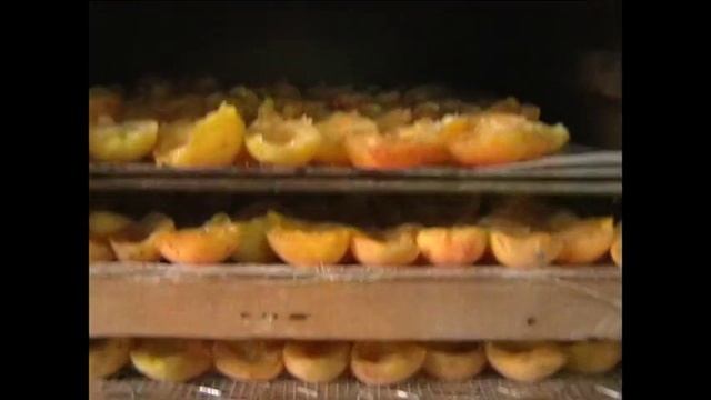 Как сделать Курагу в домашних условиях, своими руками. смотреть онлайн