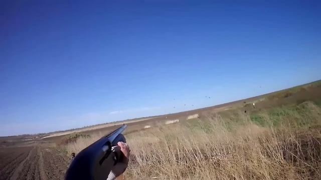 Охота на куропатку смотреть онлайн