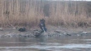 На рыбалке в Старобешево 2012 г.
