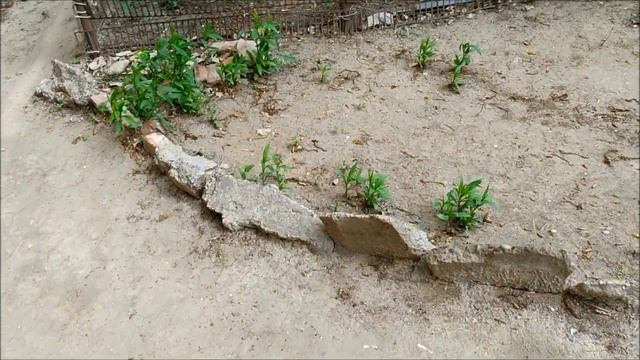 Поиск монет без металлоискателя 82 смотреть онлайн