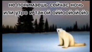 МЕДВЕДЬ ИЗ 2026 ГОДА.. ИЛИ НОВАЯ ФОБИЯ ТИКТОКЕРОВ.. ИЛИ МЕДВЕДЬ, ПЕРЕЖИВШИЙ ЯДЕРНУЮ ЗИМУ