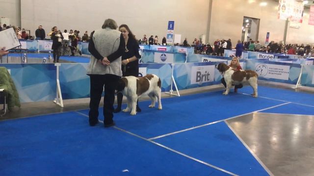 ЕСЕНИЯ БАРЫНЯ смотреть онлайн