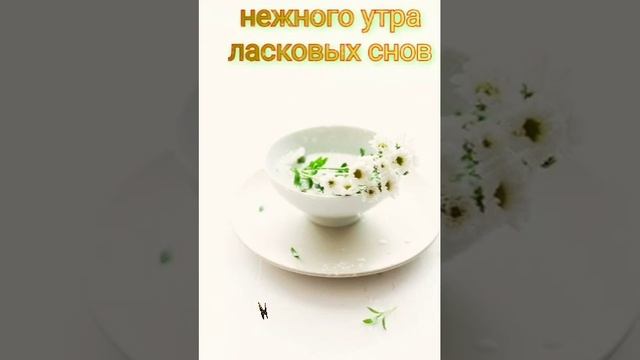 гиф#нежного утра# ласковых снов#