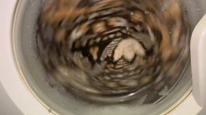 Стиральная машина indesit Судслок 1 Часть