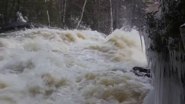 Canon 60 D Video test смотреть онлайн