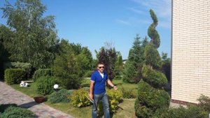 Стрижка спирали из возрастной туи смарагд