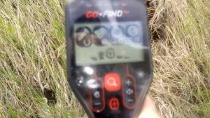 Подробный коп с Minelab GO-Find 44