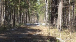 Блаженное спокойствие  Мини настрой Для женщин Сытин (без муз.)