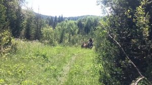 #2 Мотоцикл с двигателем мотоблока на базе ИЖ Планета/Спустя 2 года/Проходимость и грузоподъемность