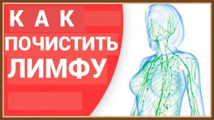 КАК ПОЧИСТИТЬ ЛИМФУ