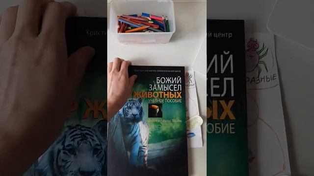 СЕГОДНЯ ПО ПЛАНУ ОКРУЖАЮЩИЙ МИР/ПРОДОЛЖАЕМ ГРУППЫ ЖИВОТНЫХ/МОЛЛЮСКИ/ЗАНИМАШКИ С ДОЧКОЙ