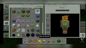 Minecraft 1.17.0.54 Beta Download and showcasing new items and mobs