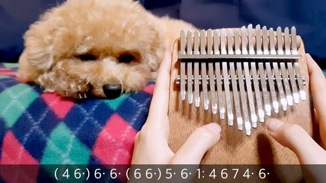 모차르트 자장가 칼림바 Mozarts Lullaby Kalimba cover with tabs