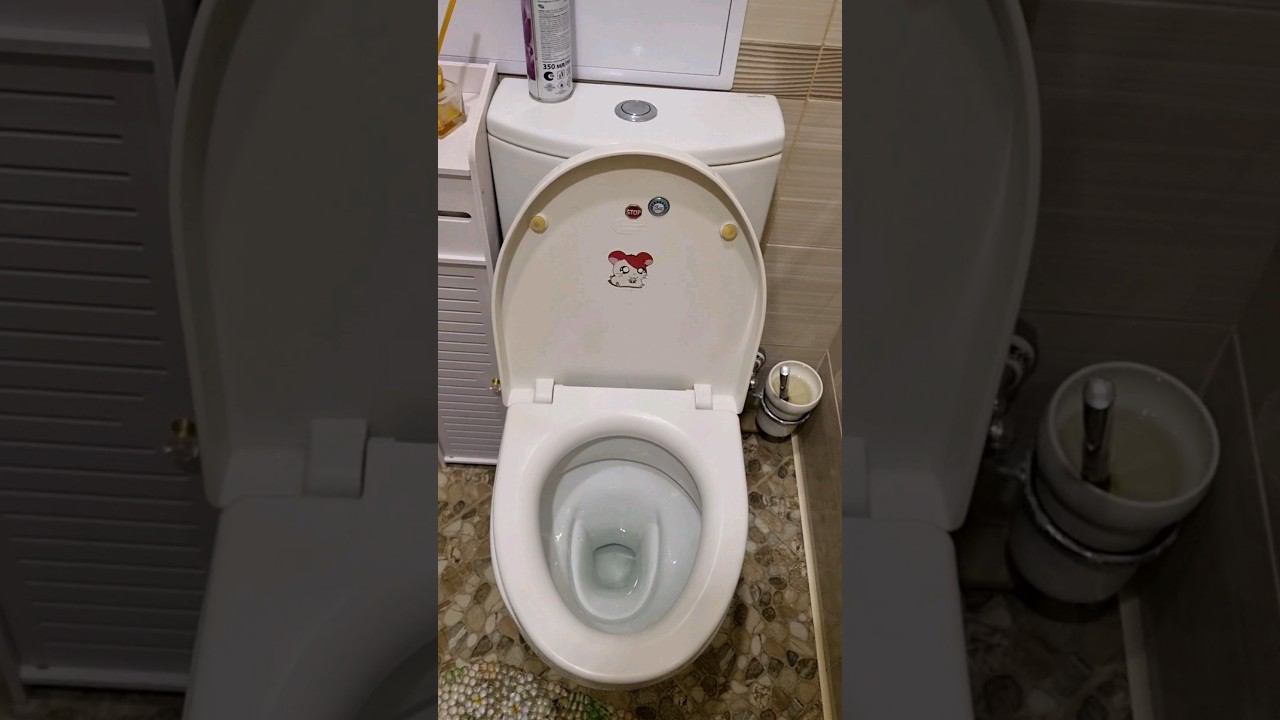 Унитаз подогнали... Ответ на бред #унитаз смотреть онлайн