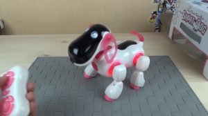 Робот собака из Китая