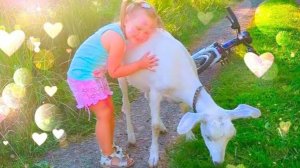 Настя Полина и Матвей играют на ферме с добрыми козочками