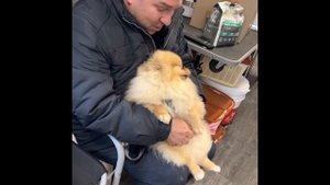 Как забирают щенка ШПИЦА. Наши выпускники так же приехали за щенком