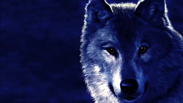 Blatnoj Udar Odinokij volk 360p смотреть онлайн