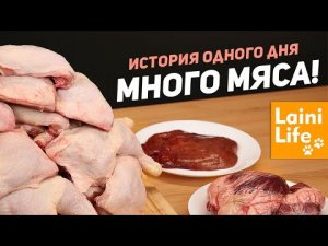 Мясной микс для моих питомцев. Что едят мои кошки и собаки.