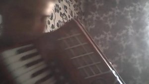 Мурка на аккордеоне