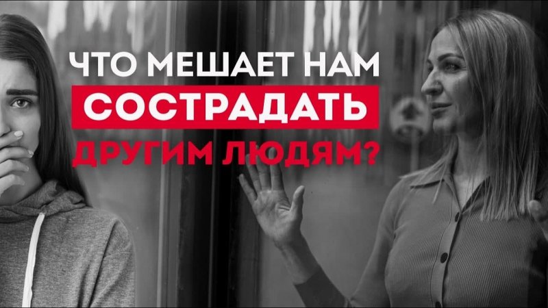 Почему мы не проявляем сострадание? Сострадание и сопереживание. Кристина Кудрявцева #Shorts.mp4