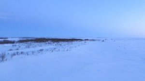 Вид из окна поезда - Река Уса (близ ст. Елецкая, Республика Коми)