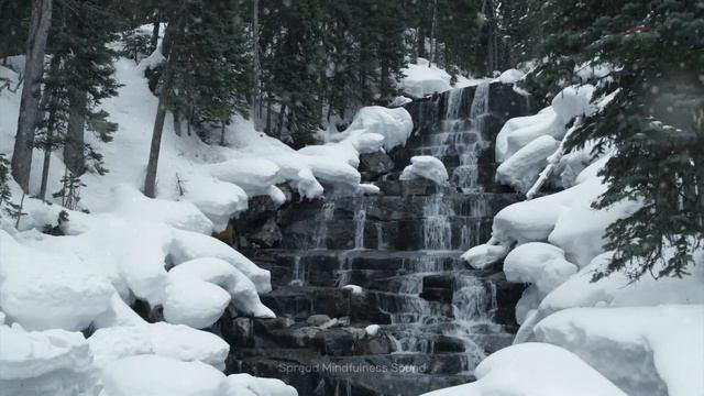 Meditation, Mbsr Meditation, Relaxsounds, Relaxing, Theta Waves, 4K