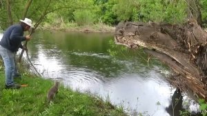 Год жизни в деревне,в Саратовской глубинке.Ожидания и реальность