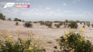 Лучшие игры для руля (часть 1)